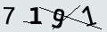 verifycode